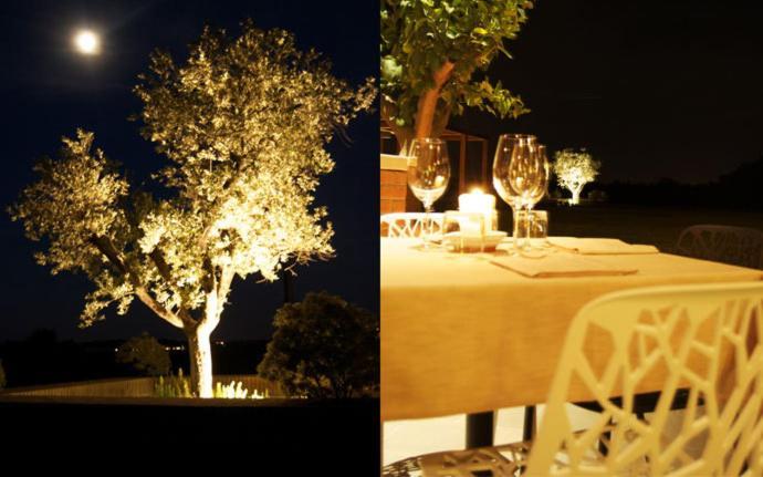 Agriturismo Colombarino Villa Desenzano del Garda Bagian luar foto